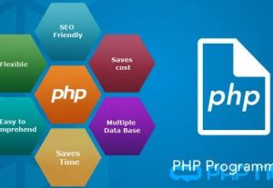 2762Php developer